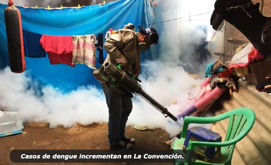 img2 Dengue